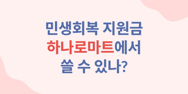 민생지원금사용처 하나로마트