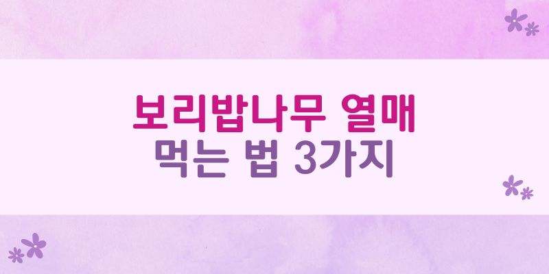 보리밥나무 열매 먹는 법