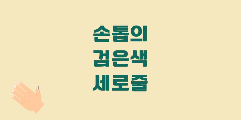 엄지손톱 세로줄