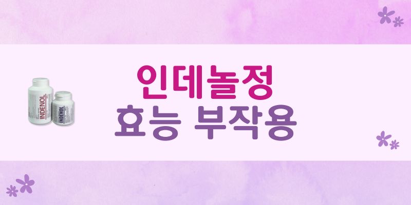 인데놀정10mg