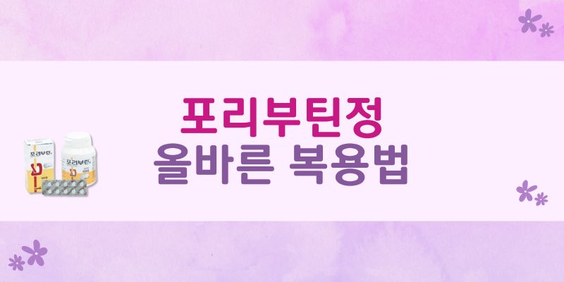 포리부틴정