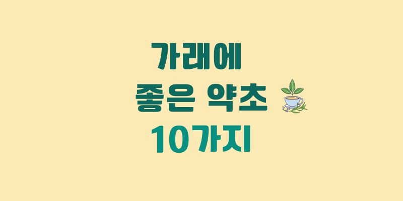 가래에 좋은 약초