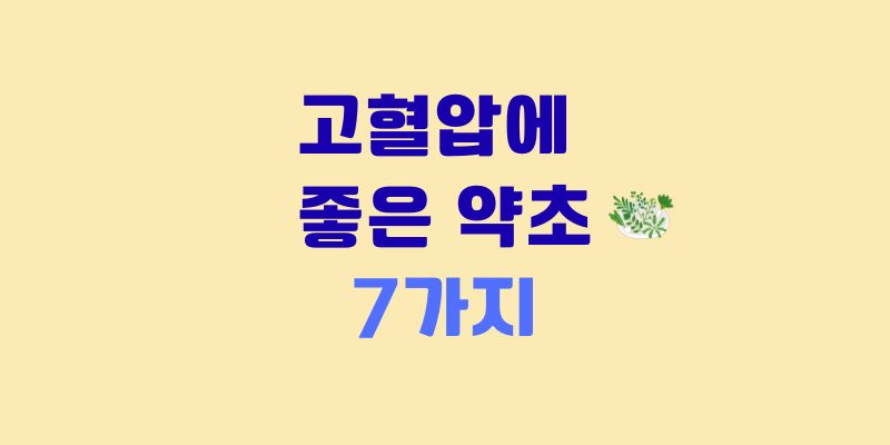 고혈압에 좋은 약초