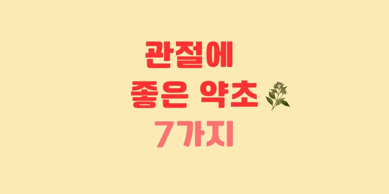 관절에 좋은 약초