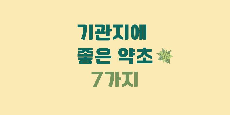 기관지에 좋은 약초