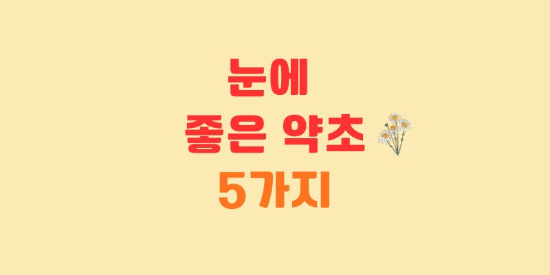 눈에 좋은 약초