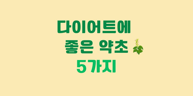 다이어트에 좋은 약초
